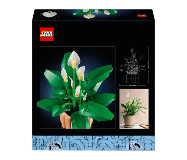 LEGO BOTANICALS 11504 Skrzydłokwiat - 1473410 - zdjęcie 10